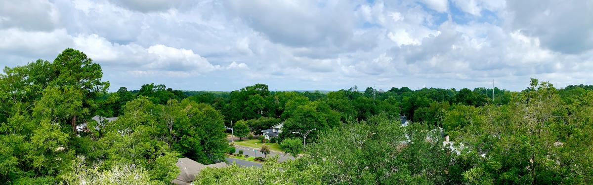 Jackson Parish From the Top